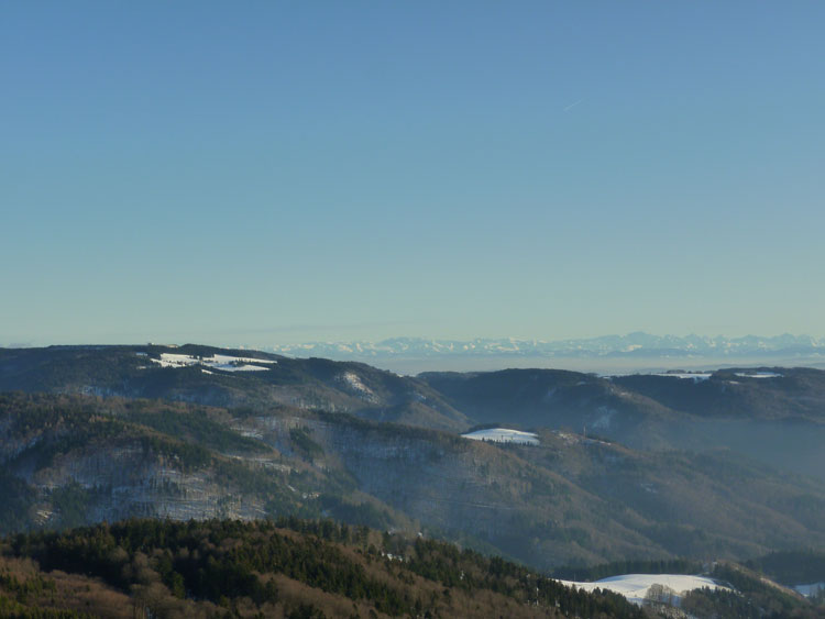 Hornbergbecken Schwarzwald Alpenblick von der Hohen Möhr