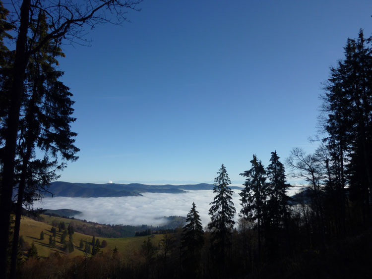 Schwarz - Wald Aussicht ins Tal