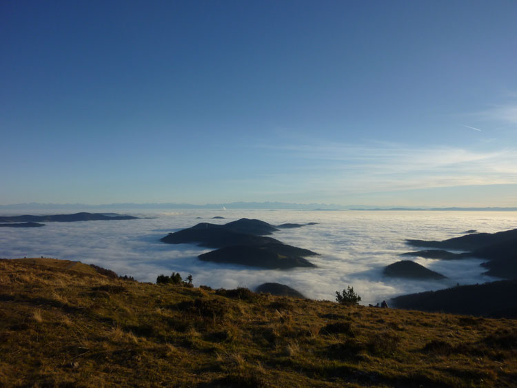 Aussicht vom Belchen im Schwarzwald auf das Nebelmeer den Tälern, eine Berginsel und die Alpen