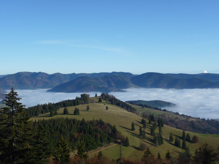 Belchen im Schwarzwald Landschaftspanorama