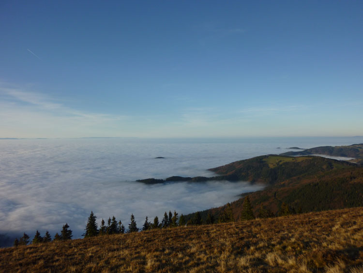 Belchen im Schwarzwald Aussicht Burgundische Pforte