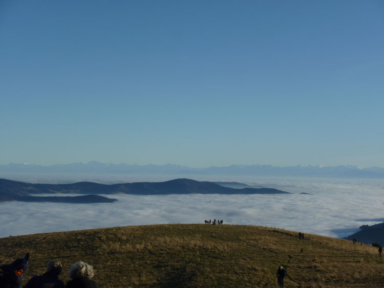 Alpenblick vom Belchenhaus im Schwarzwald