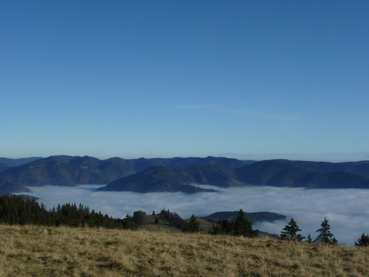 Belchen im Schwarzwald: Alpenblick