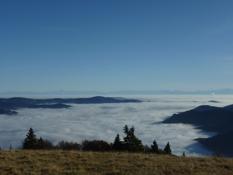 Belchen im Schwarzwald: Alpensicht