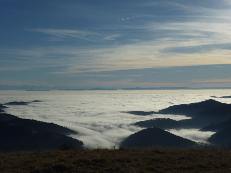 Belchen im Schwarzwald Aussicht Alpenblick