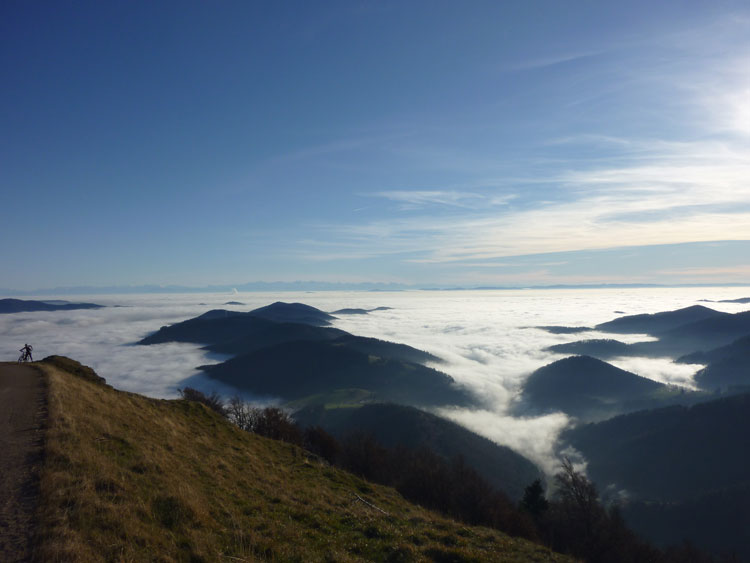 Belchen im Schwarzwald Mountainbike fahren mit Aussicht