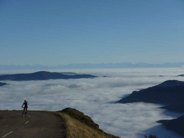 Aktivitäten im Schwarzwald: Mountainbikefahren Aussicht Wiesental