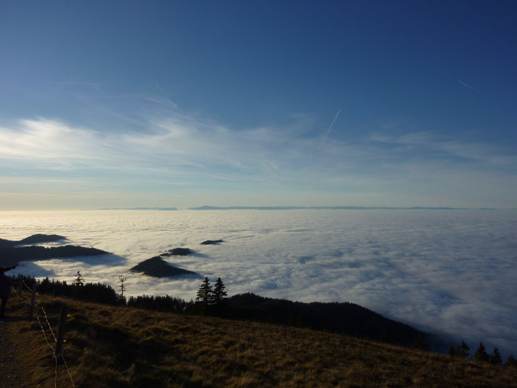 Belchen im Schwarzwald Aussich Rheingraben im Nebelmeer