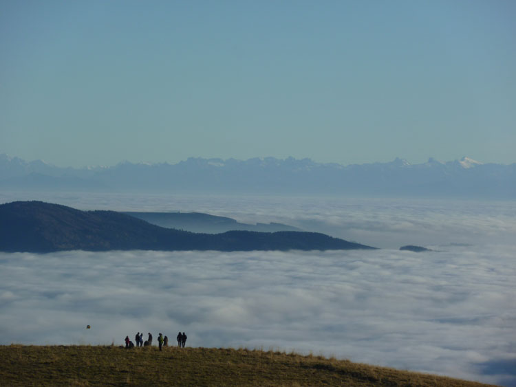 Alpenblick beim Wandern im Schwarzwald am Belchen