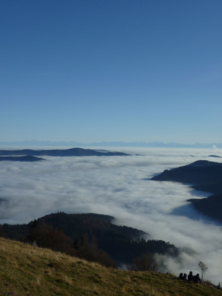 Aussicht beim Wandern im Schwarzwald auf dem Belchen