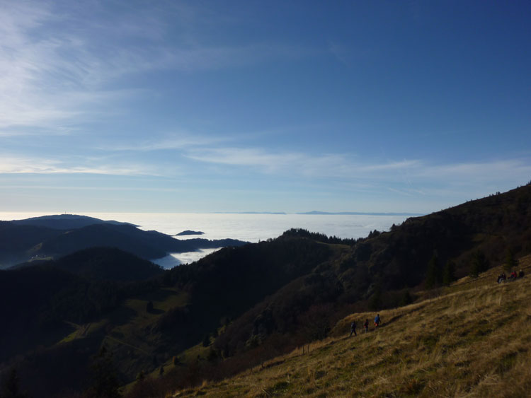 Wandern am Belchen im Schwarzwald