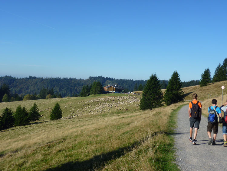 Wandern am Feldberg zur Todtnauer Hütte