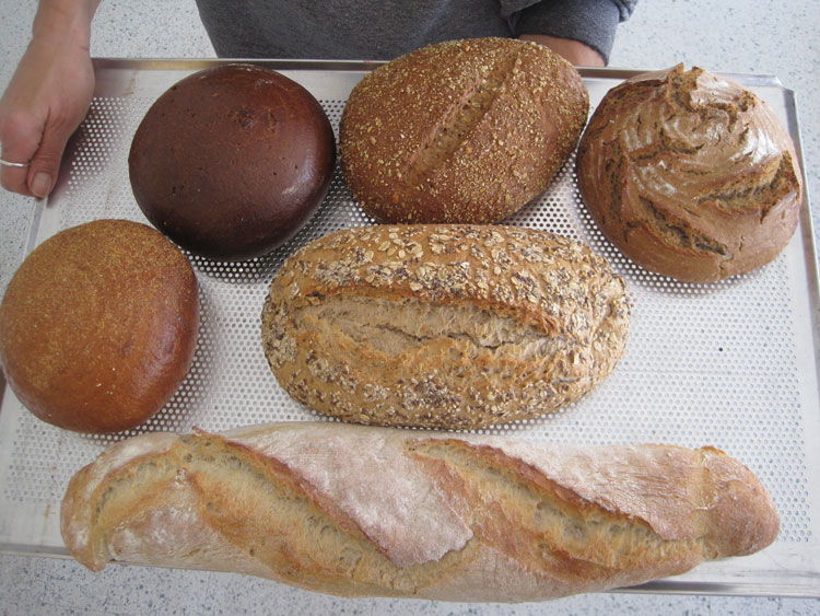 Frisch gebackene Brötchen im Dorfladen Gersbach im Schwarzwald