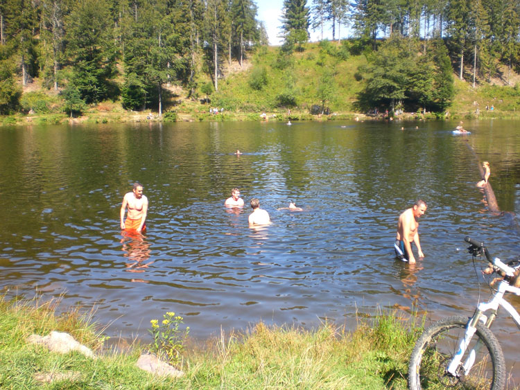 Schimmen im Schwarzwald: Nonnenmattweiher