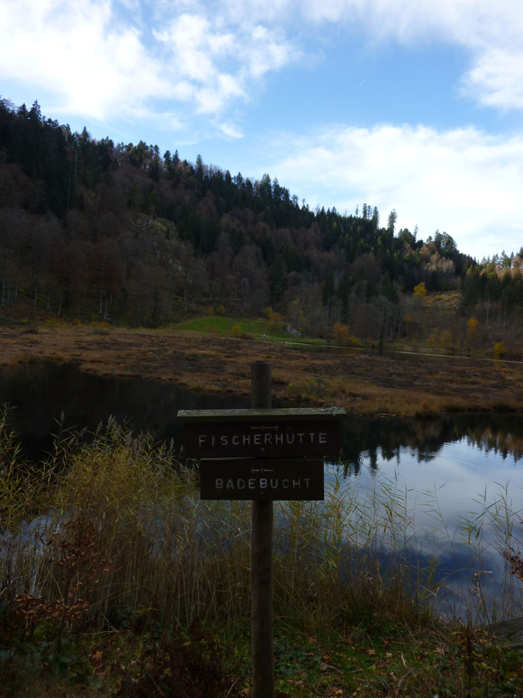 See Nonnenmattweiher mit Badebucht