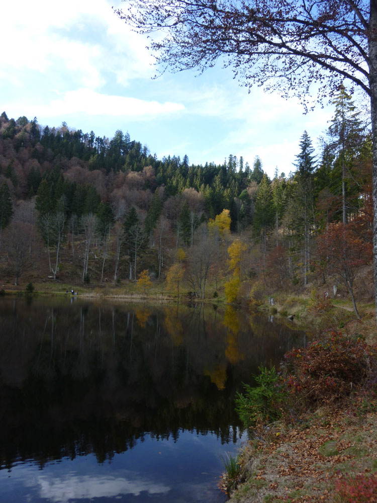 See im Schwarzwald: Herbst am Nonnenmattweiher