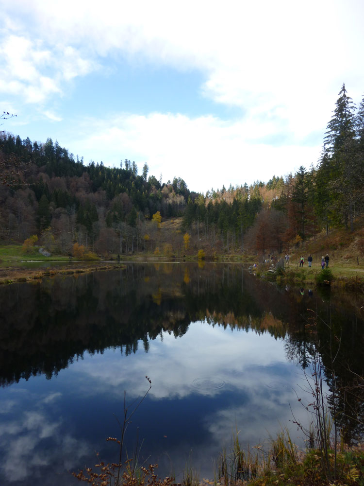 Impressionen im Herbst am Schwarzwaldsee Nonnenmattweiher