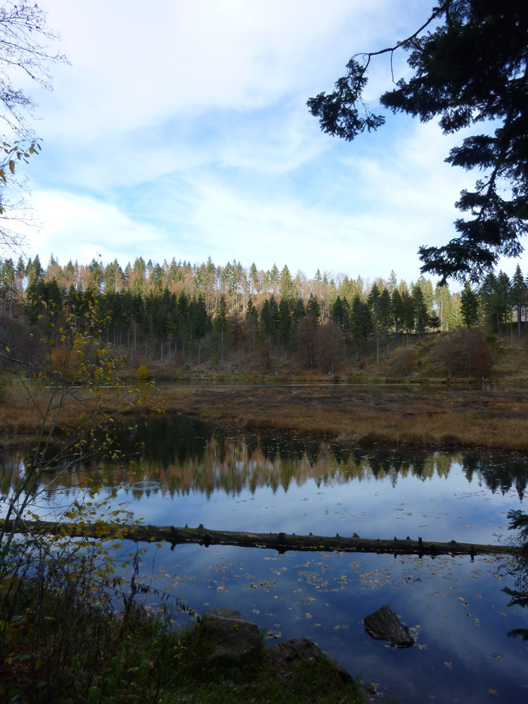 Naturschutz im Schwarzwald: See Nonnenmattweiher