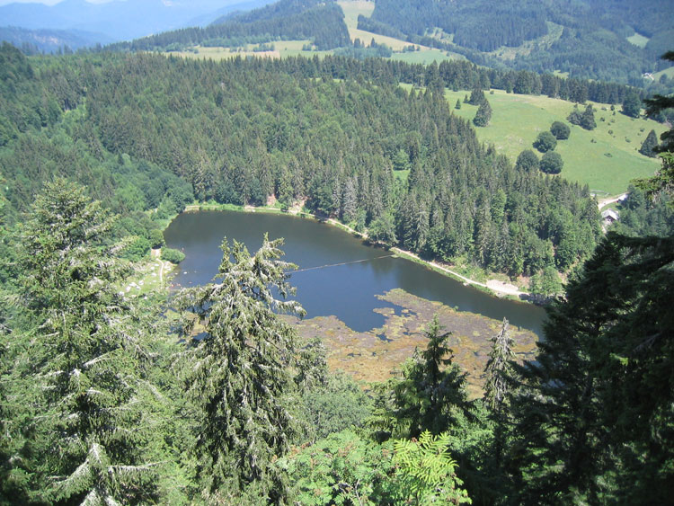 Nonnenmattweiher: See im Schwarzwald