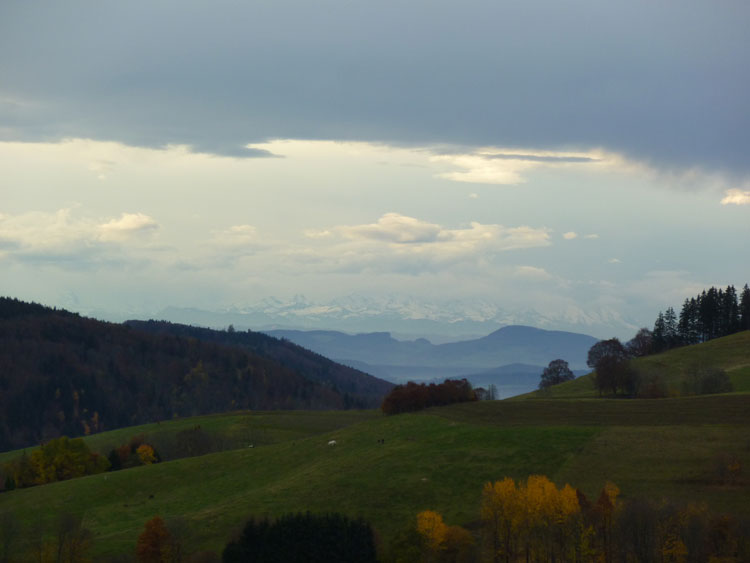 Alpensicht vom Schwarzwald im Herbst am Morgen