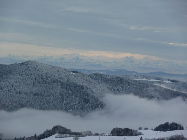 Alpensich Schwarzwald Winter