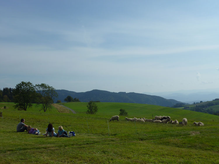 Familienurlaub im Schwarzwald: Erholung, Ruhe und Enstpannung 