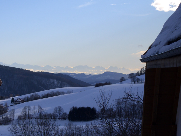 Schwarzwald-Alpenblick-Ferienwohnung