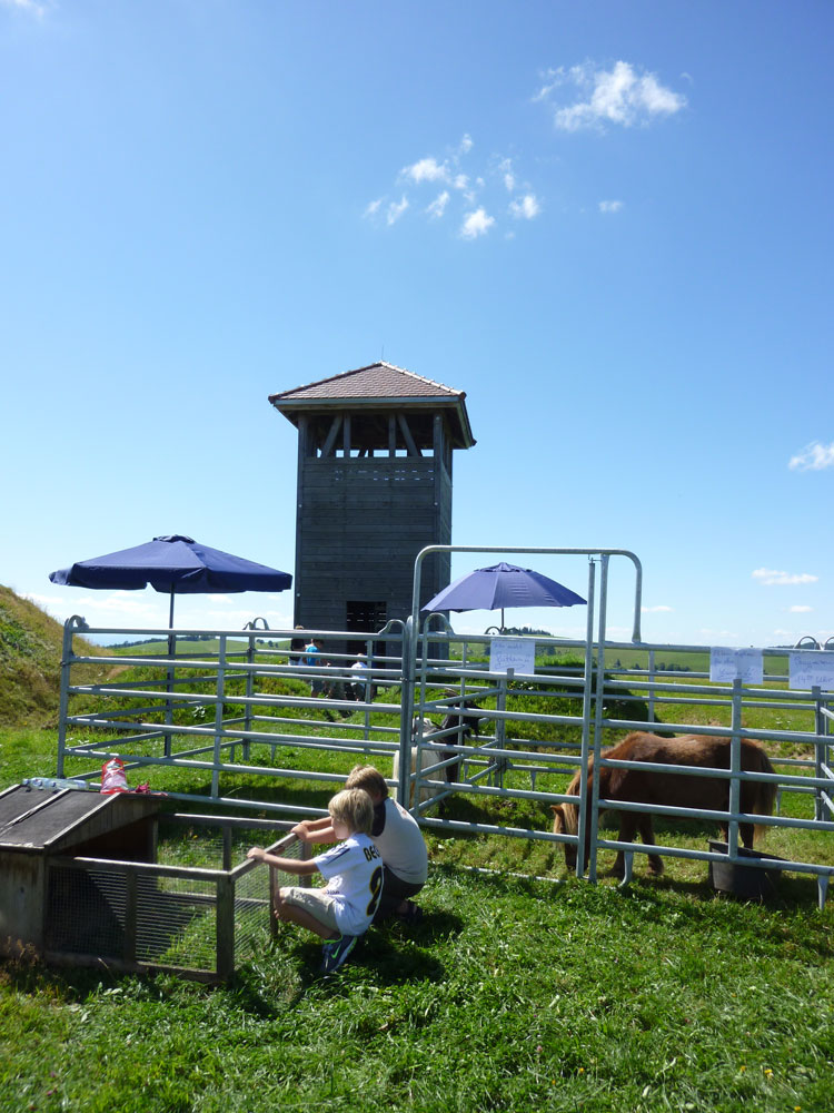 Streichelzoo im Schwarzwald beim Haxenfest