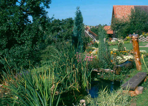 Teich Ferienwohnungen Gartenanlage