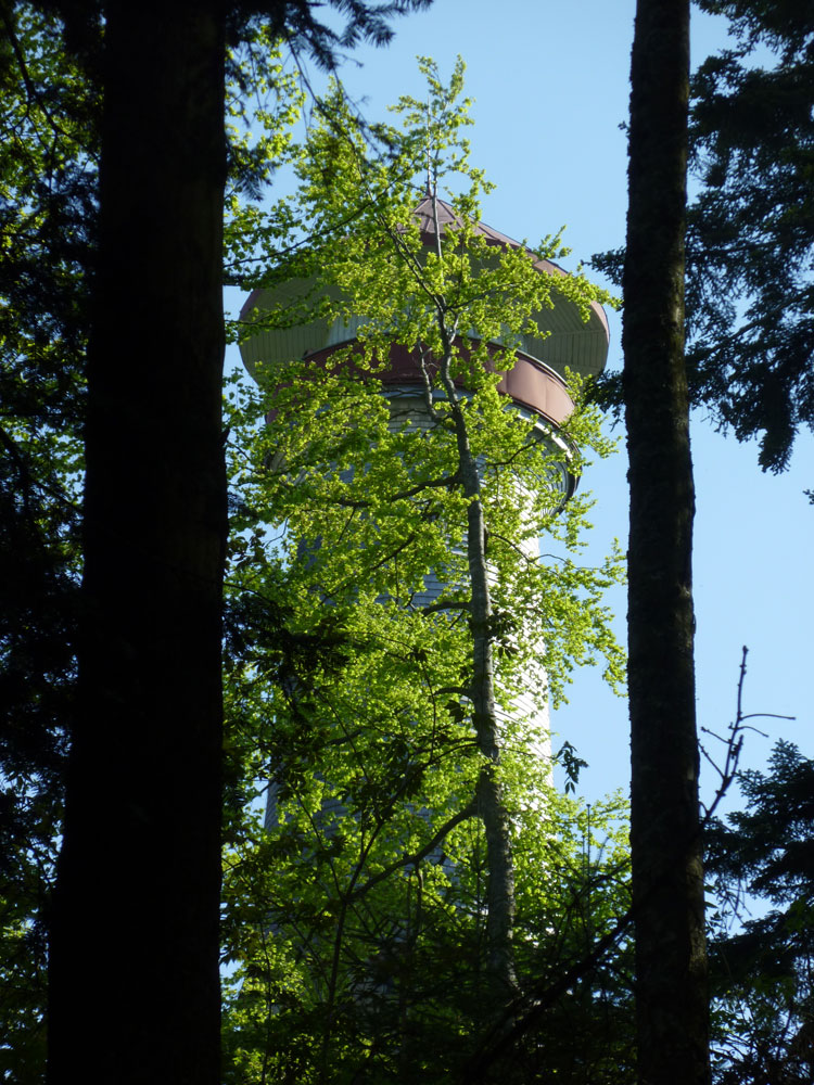 Hohe Möhr Aussichtsturm Schwarzwald