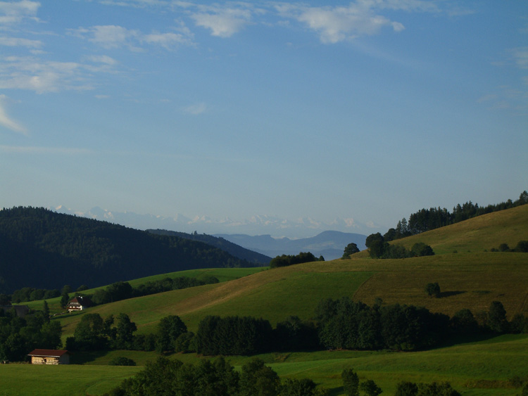 Schwarzwald Ferienwohnung Alpensicht
