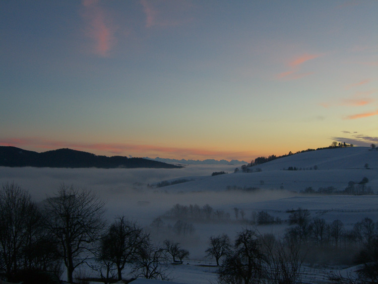 Schwarzwald Winter