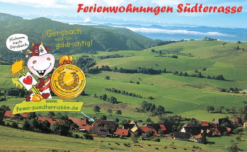 Ferienhaus Schwarzwald Ferienwohnungen Sdterrasse