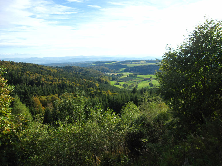 Ausicht im Herbst