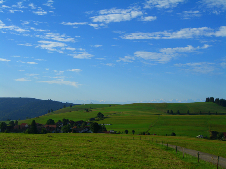 Wandern Schwarzwald Alpensicht