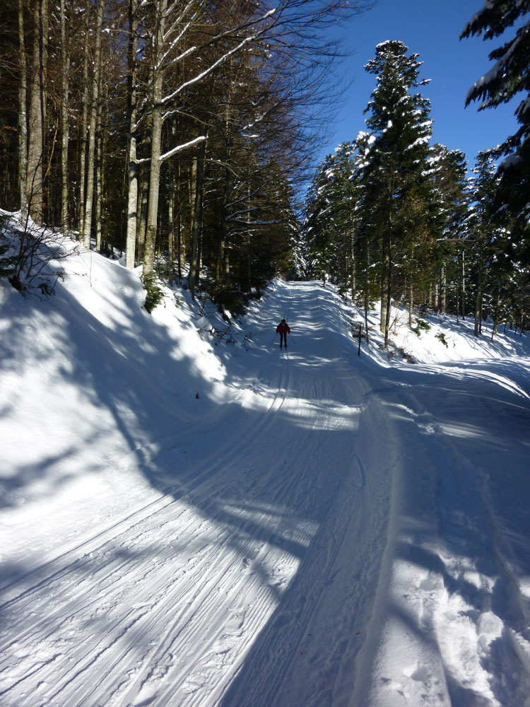 Schwarzwald Langlaeufer bei der Abfahrt