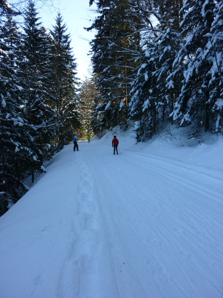 Schwarzwald Langlaeufer und Schneeschuhwander NEBENEINANDER