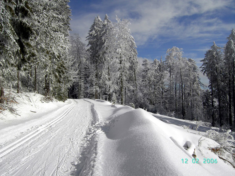 Schwarzwald Langlauf Loipe