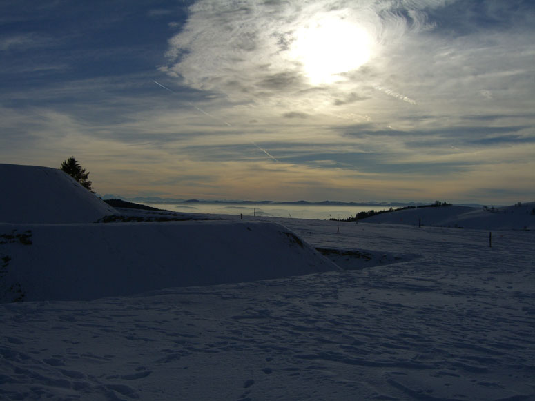 Schwarzwald-Abendstimmung-Alpensicht