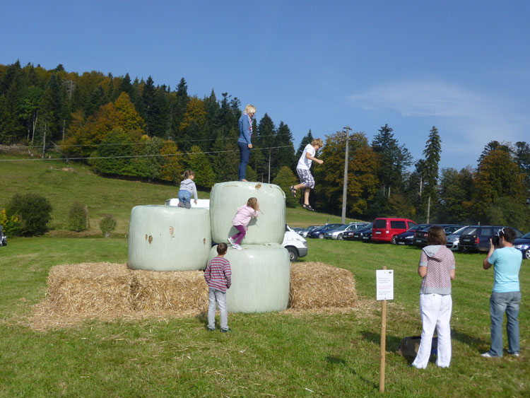 Strohburg im Schwarzwald: Kletterburg und Hüpfburg