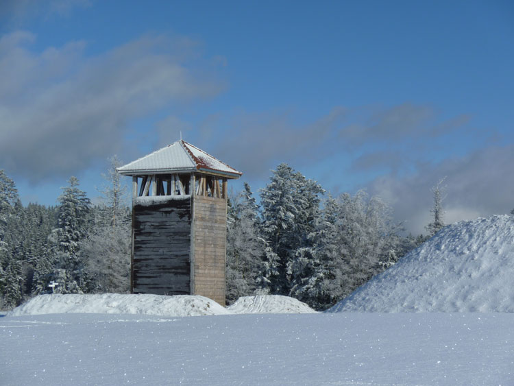 Schwarzwald Wachturm Winter