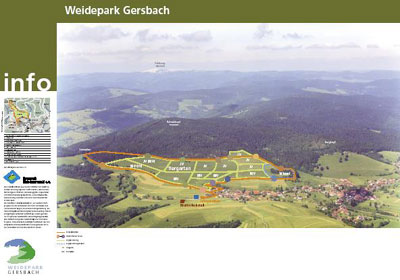 Rinderlehrpfad im Schwarzwald - Dorf Gersbach mit Weidepark