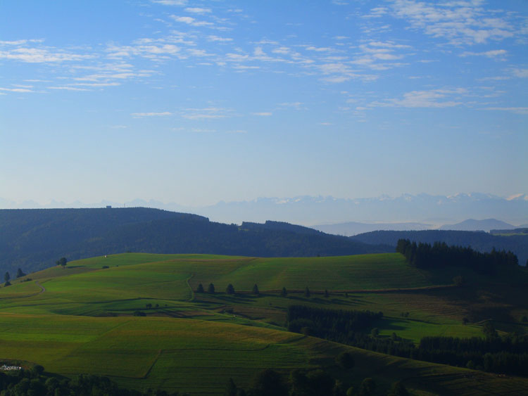 Aussicht Vom Westweg (Modellflugplatz Gersbach) auf das Hornbergbecken und die Alpen