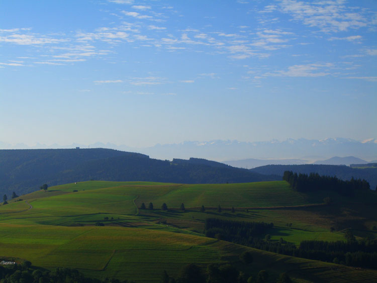 Aussicht vom Modellflugplatz Gersbach auf das Hornbergbecken und die Alpen