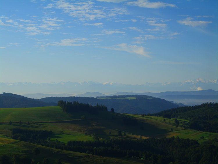 Alpenpanorama vom Westweg im Schwarzwald bei Gersbach