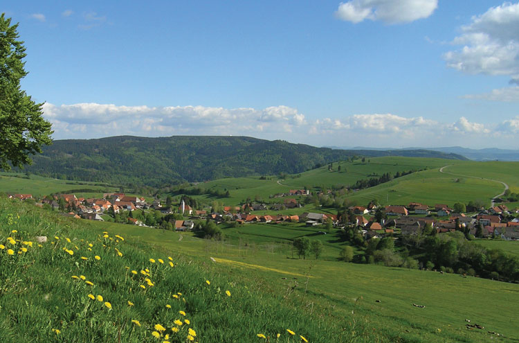 Schwarzwald Aussicht bei der Wanderung auf Feldwegen an der Wiese