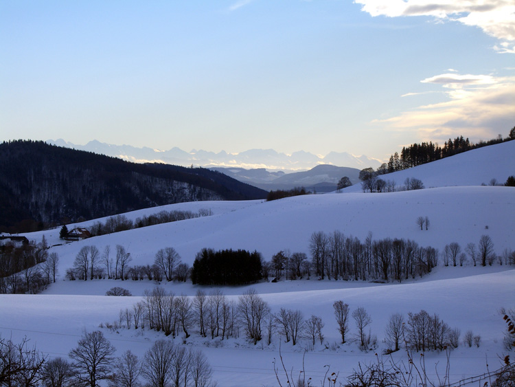 Schwarzwald Winter Alpensicht