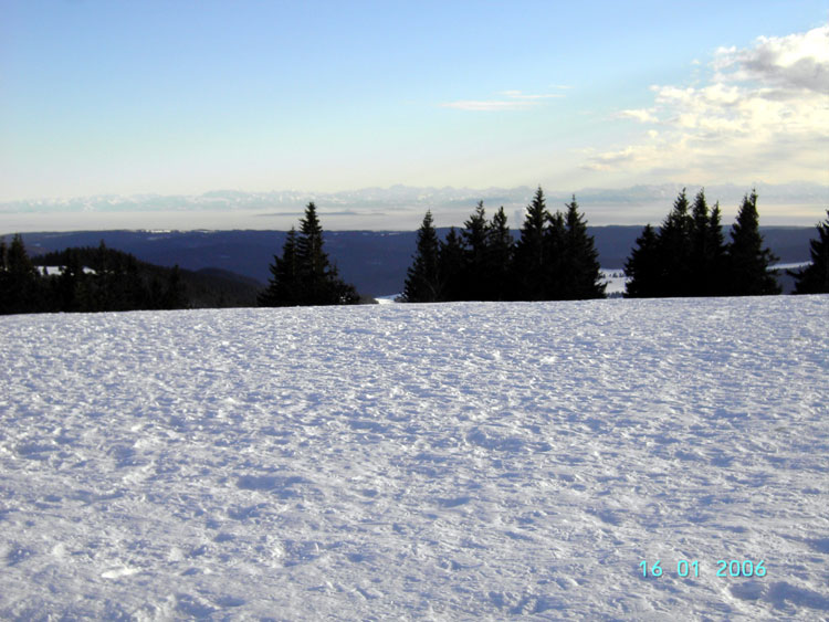 Schwarzwald Herzogenhorn Alpensicht