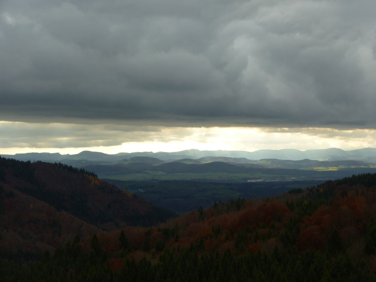 Schwarzwald