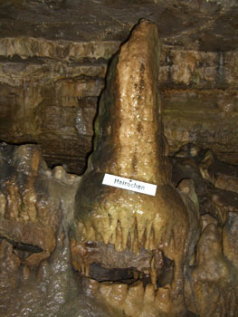 Tropfstein Hairachen in der Erdmannshöhle Hasel